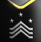 Master Chief Petty Officer (E-9)
