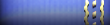 Captain (O-6)